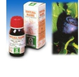 MIRTILLO 31 50ML TM