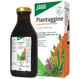 Piantaggine 250ml