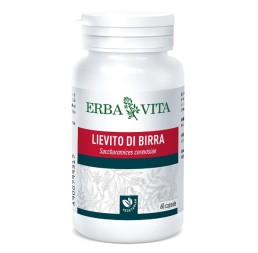 Lievito Birra 60cps