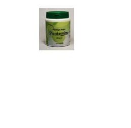 Piantaggine 60cps