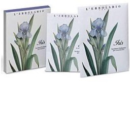 Iris Sacchetto Prof Cassetti