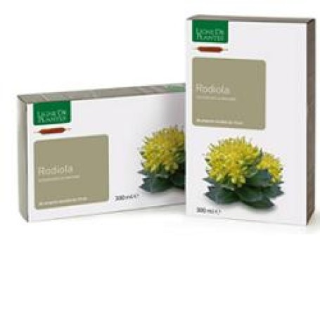 RODIOLA 20AB 15ML