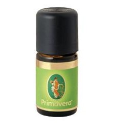 CANNELLA FOGL 6% OLIO ESS 10ML