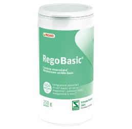 REGOBASIC POLVERE 250G