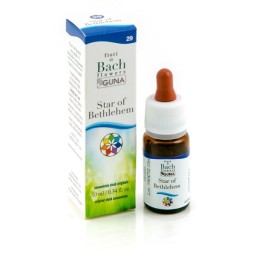 STAR OF BETH GUN GTT 10ML