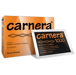 CARNERA 1000 18BUST