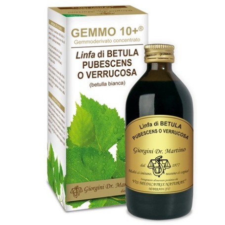 Betulla B Linfa An Gemm10+ 200