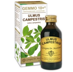 Olmo Camp 100ml Analco Gemm10+