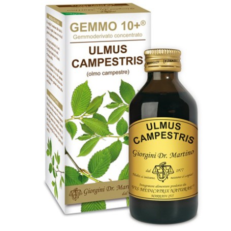 Olmo Camp 100ml Analco Gemm10+