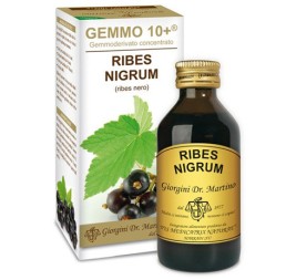 Ribes Ne Analco Gemmo10+ 100ml
