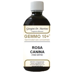 Rosa Canina Liq Analco Gemm10+