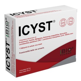 Icyst 14bust