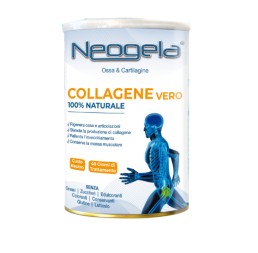 Neogela Polvere 400g