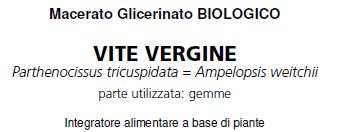 Una immagine