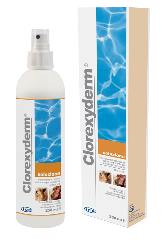CLOREXYDERM SOL 250ML